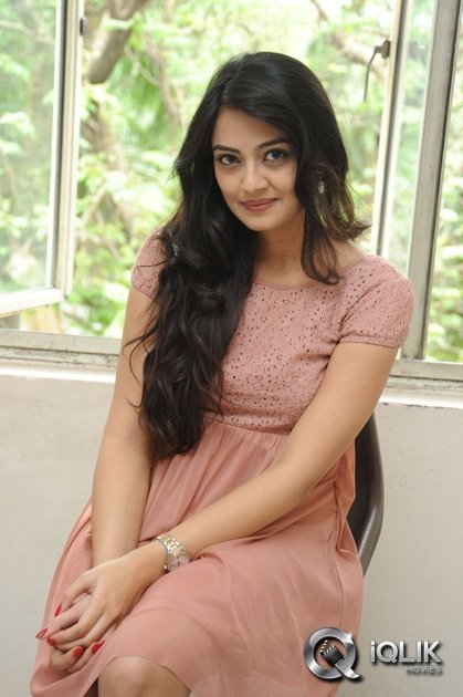 Nikitha-Narayan-at-Ladies-and-Gentlemen-Movie-Song-Launch